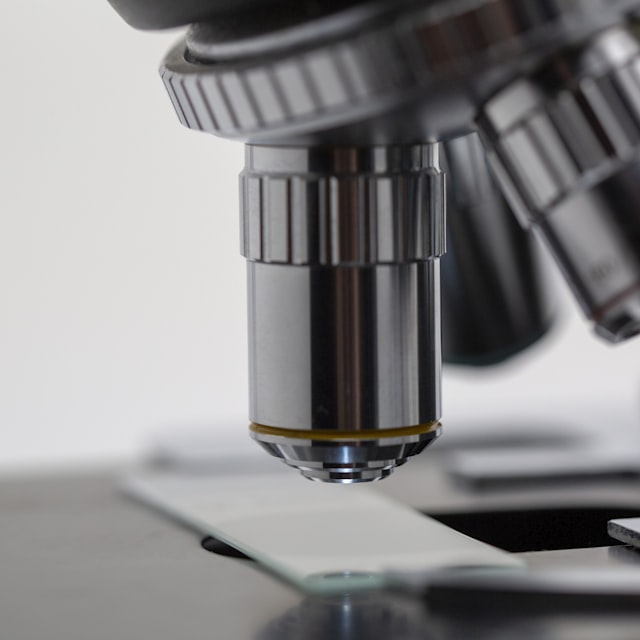Mikrobiologi & Kultur